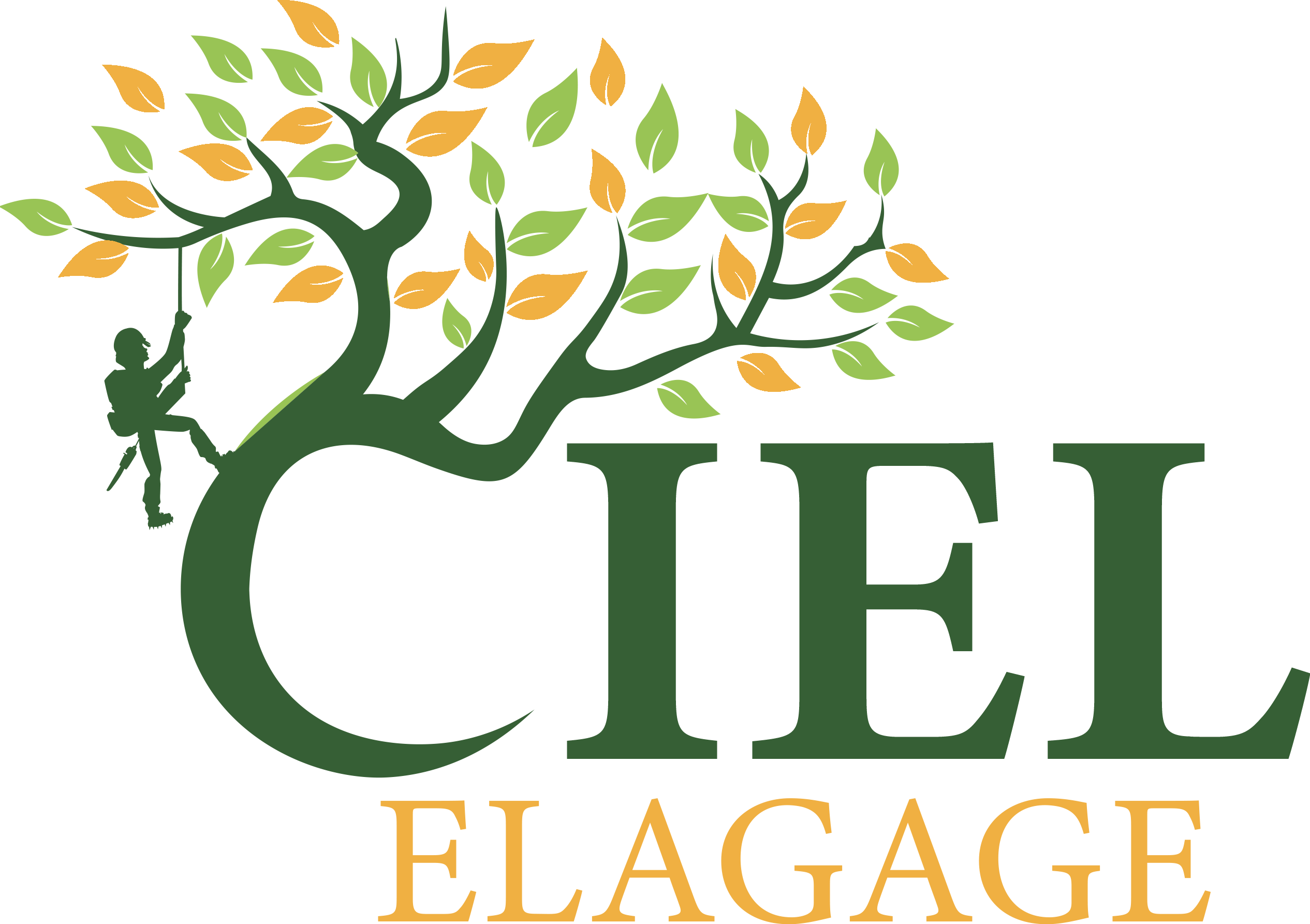 Ciel Élagage à Saint-Thibault-de-vignes (77400) - Entretien d'Espaces Verts, Élagage et Abattage d'Arbres en Seine-et-Marne