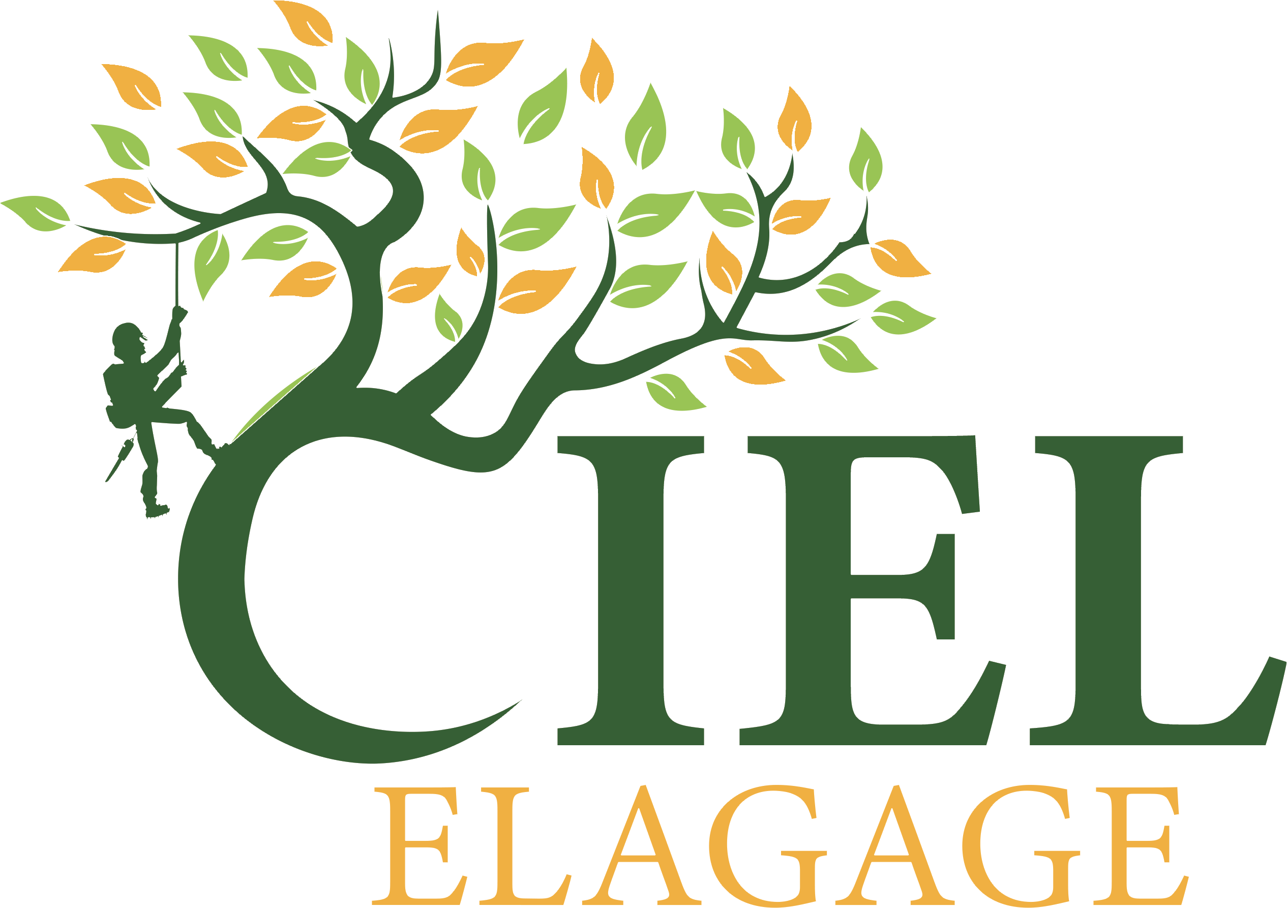 Ciel Élagage à Meaux (77) - Entretien d'Espaces Verts, Élagage et Abattage d'Arbres en Seine-et-Marne