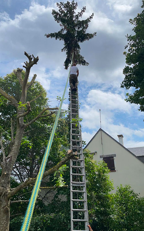 Ciel Élagage à Saint-Thibault-de-vignes (77400) - Spécialiste de l'Élagage, Abattage d'Arbres et Entretien d'Espaces Verts en Seine-et-Marne