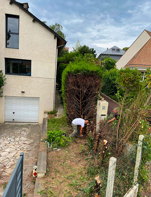 Services d'Élagage, Abattage et Entretien d'Espaces Verts en Seine-et-Marne (77) – Interventions Rapides et Sécurisées