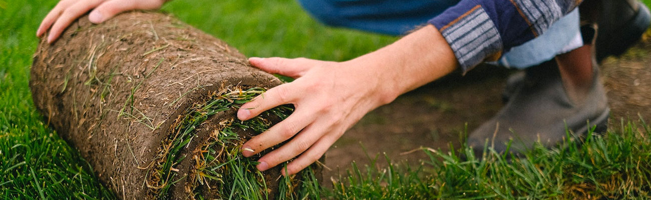 Pose de Pelouse et Gazon à Saint-Thibault-de-vignes (77400) – Experts en Aménagement de Jardins en Seine-et-Marne